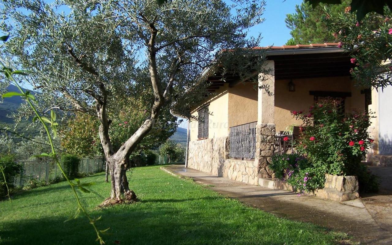 Casa Rural Josefina 1 Y 2 Navaconcejo Exterior photo